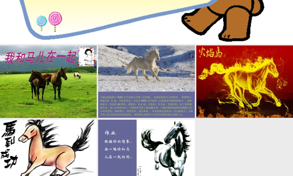 人教版二年级小学美术课件-《我和马儿在一起》课件3.ppt