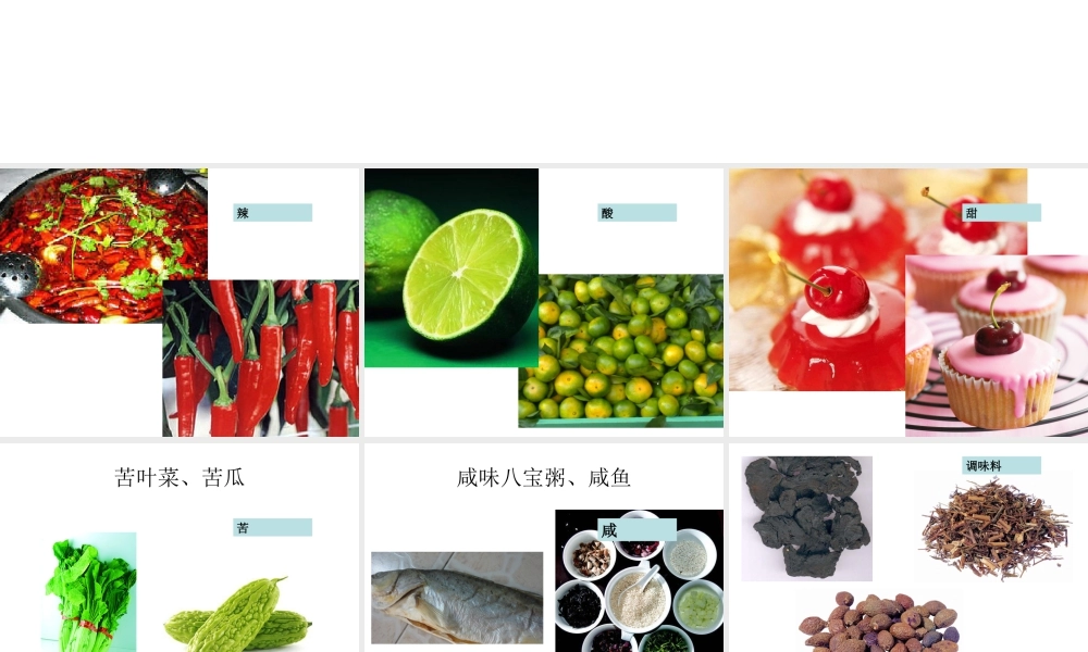 人教版二年级小学美术课件-《五味瓶》课件1.ppt