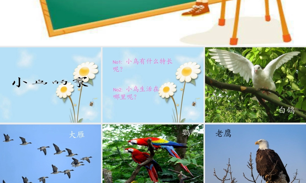 人教版二年级小学美术课件-《小鸟的家》课件1.ppt