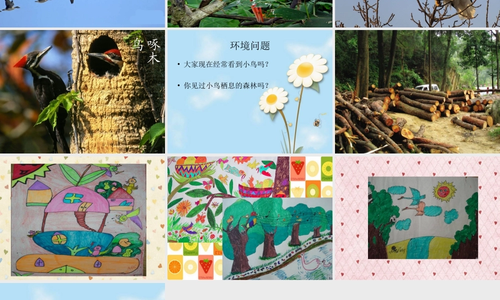 人教版二年级小学美术课件-《小鸟的家》课件1.ppt