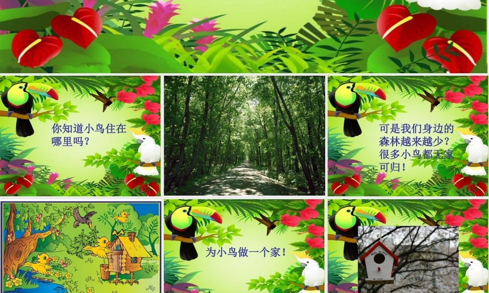 人教版二年级小学美术课件-《小鸟的家》课件4.ppt