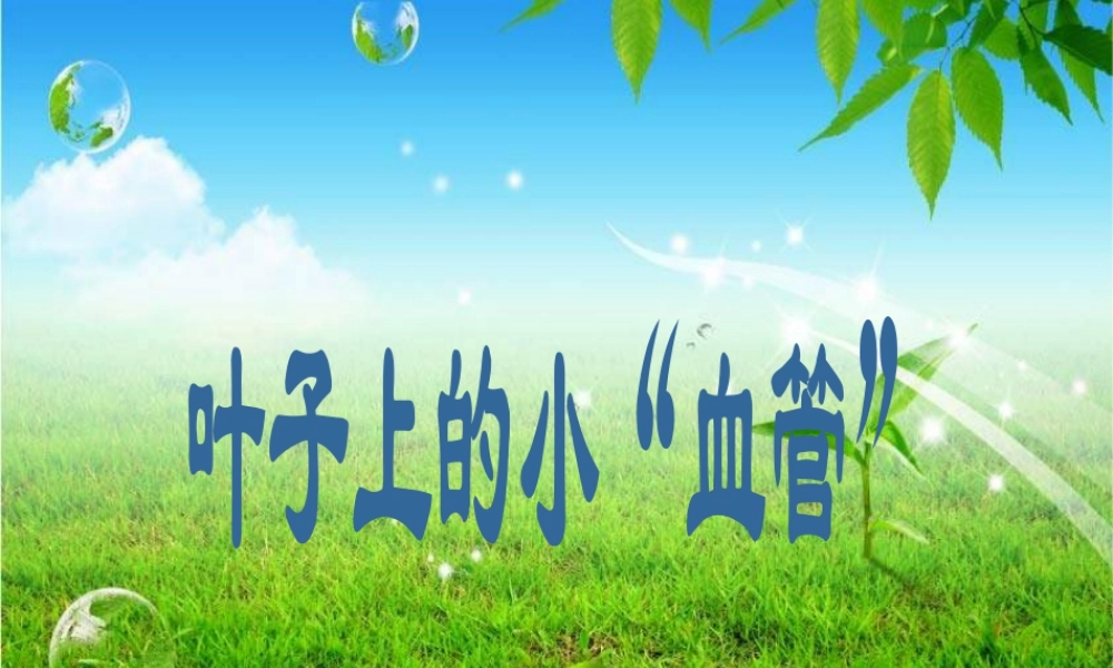 人教版二年级小学美术课件-《叶子上的小“血管”》课件1.ppt