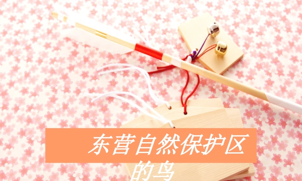 人教版二年级小学美术课件-东营保护区的鸟.ppt