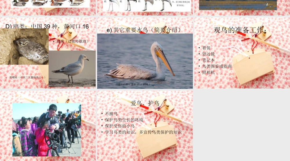 人教版二年级小学美术课件-东营保护区的鸟.ppt