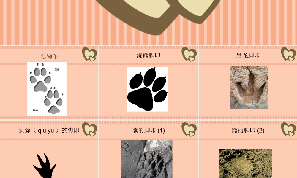 人教版二年级小学美术课件-动物的脚印欣赏.ppt