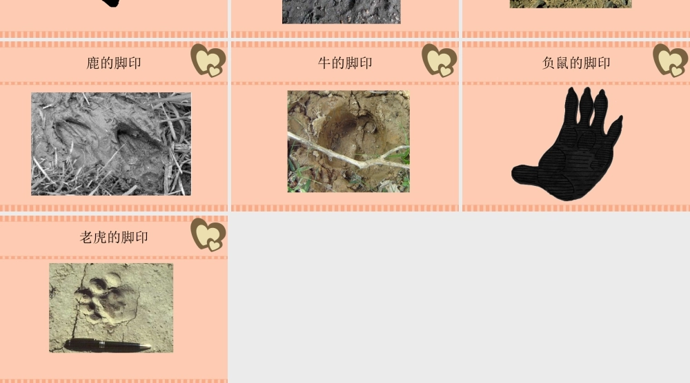 人教版二年级小学美术课件-动物的脚印欣赏.ppt
