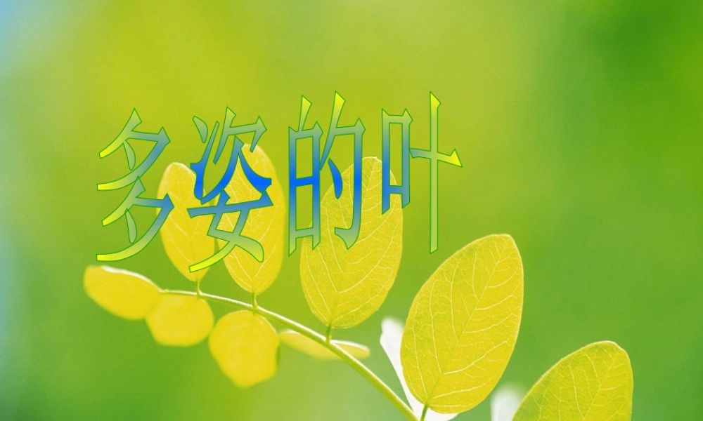 人教版二年级小学美术课件-多姿的叶画.ppt
