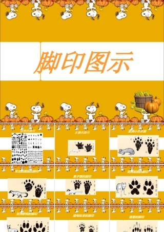 人教版二年级小学美术课件-脚印图示.ppt