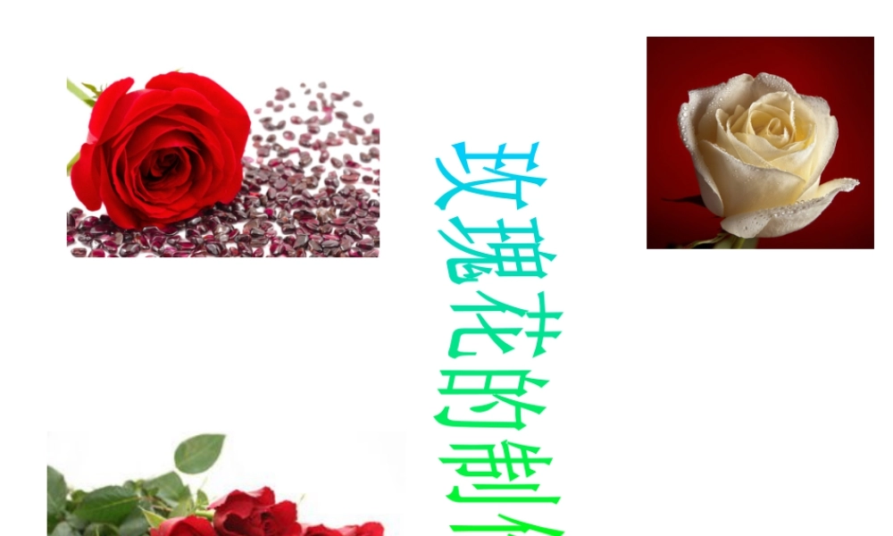 人教版二年级小学美术课件-玫瑰花的制作.ppt