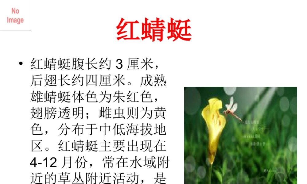人教版二年级小学美术课件-美术文化1 (5).ppt
