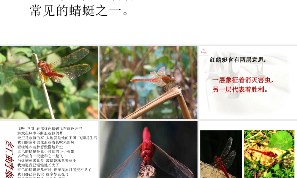 人教版二年级小学美术课件-美术文化1 (5).ppt