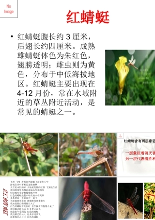 人教版二年级小学美术课件-美术文化1 (5).ppt