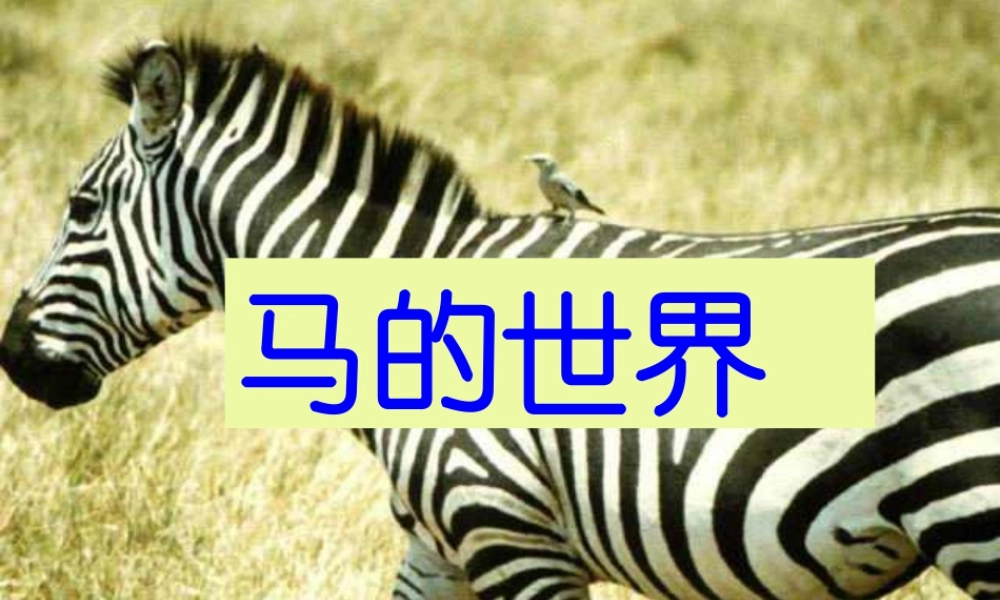 人教版二年级小学美术课件-美术文化1 (9).ppt