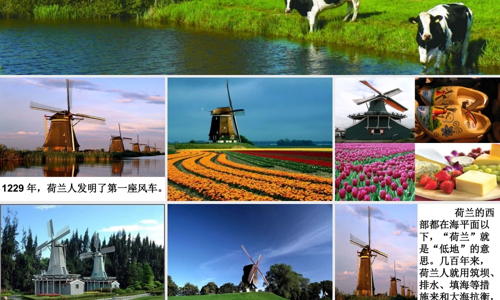 人教版二年级小学美术课件-美术文化1 (11).ppt