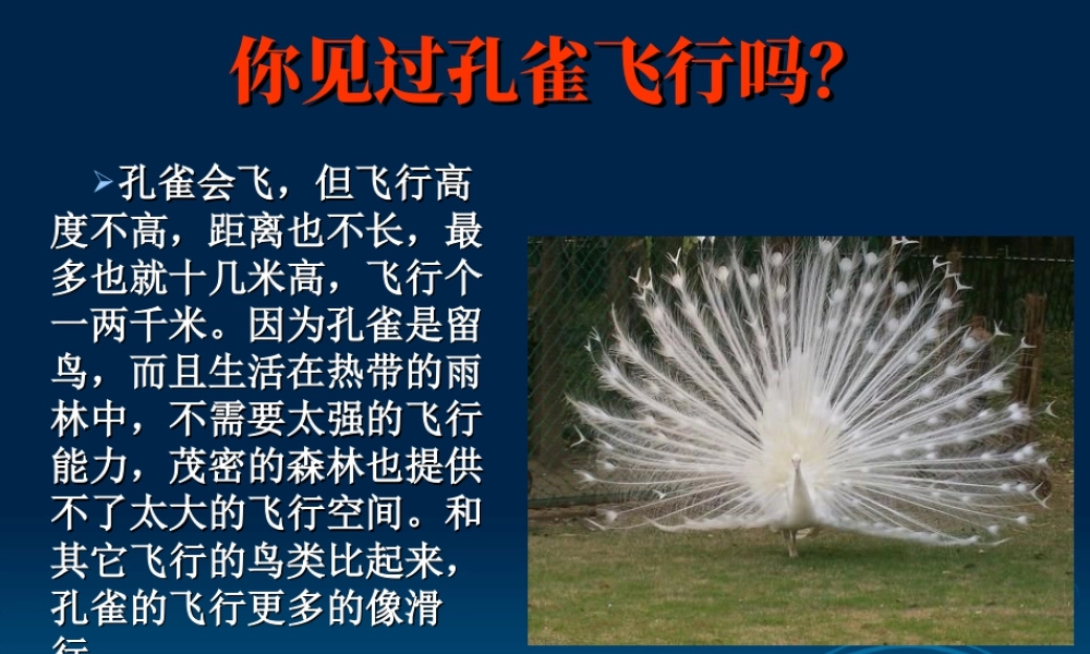 人教版二年级小学美术课件-你见过孔雀飞行吗？.ppt