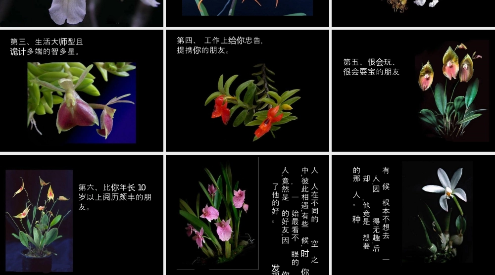 人教版二年级小学美术课件-朋友一辈子珍藏.ppt