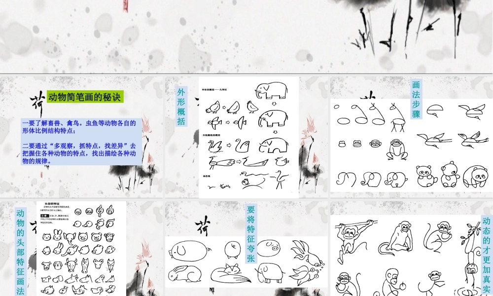 人教版二年级小学美术课件-如何画好动物简笔画.ppt