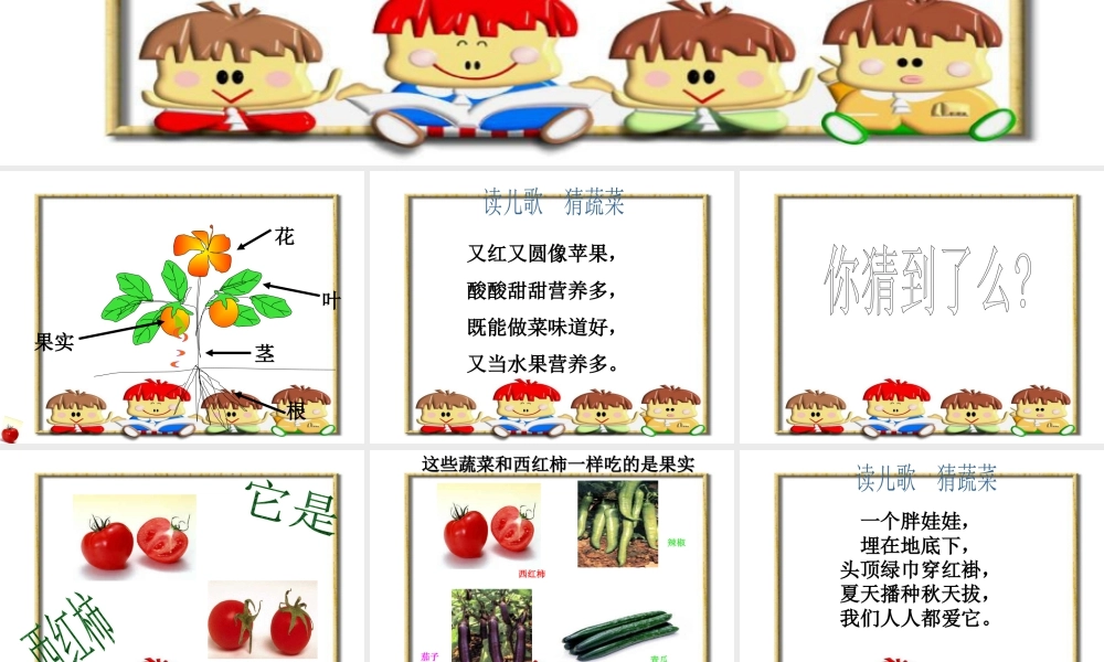 人教版二年级小学美术课件-蔬菜王国ppt.ppt