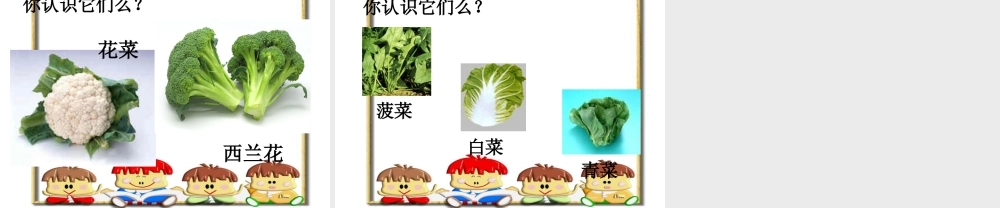 人教版二年级小学美术课件-蔬菜王国ppt.ppt