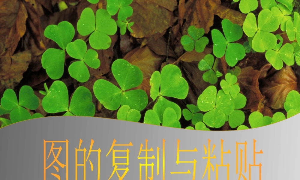 人教版二年级小学美术课件-图的复制与粘贴.ppt