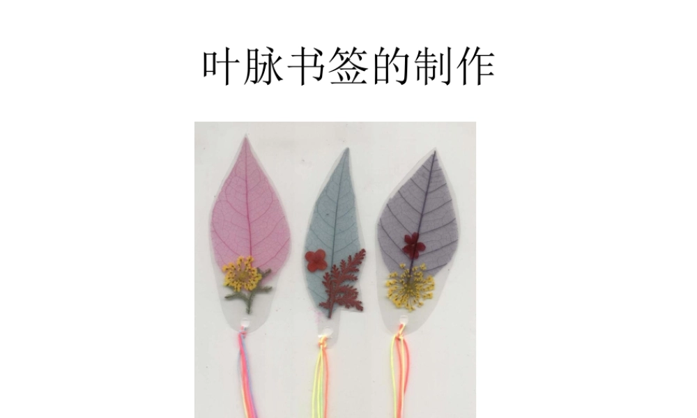 人教版二年级小学美术课件-叶脉书签的制作.ppt