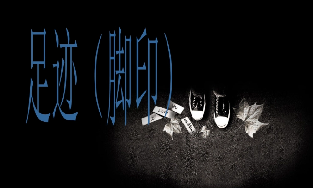 人教版二年级小学美术课件-足迹(脚印).ppt