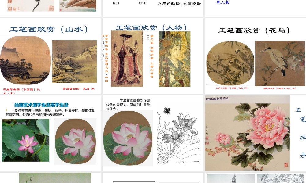 人教版六年级小学美术课件-《工笔花卉》课件.ppt