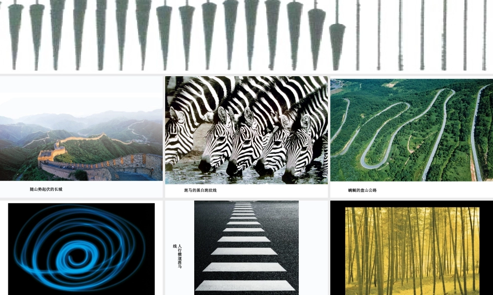 人教版六年级小学美术课件-《线与造型》课件3.ppt