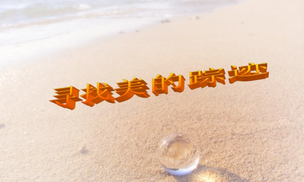 人教版六年级小学美术课件-《寻找美的踪迹》课件.ppt