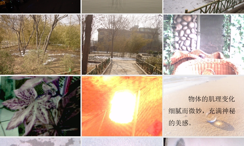 人教版六年级小学美术课件-《寻找美的踪迹》课件.ppt