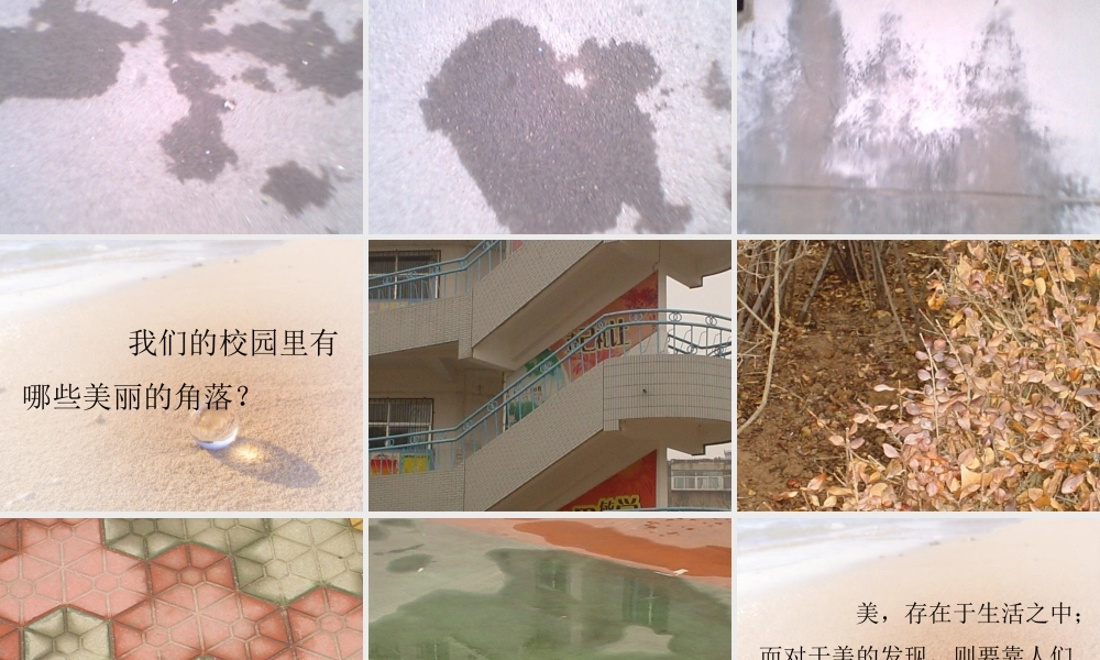 人教版六年级小学美术课件-《寻找美的踪迹》课件.ppt