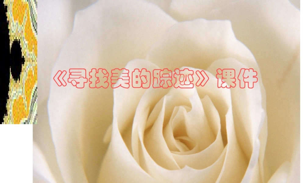 人教版六年级小学美术课件-《寻找美的踪迹》课件02.ppt