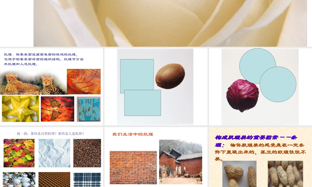 人教版六年级小学美术课件-《寻找美的踪迹》课件02.ppt