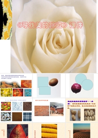 人教版六年级小学美术课件-《寻找美的踪迹》课件02.ppt