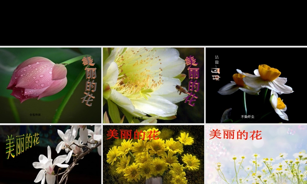 人教版六年级小学美术课件-《寻找美的踪迹》课件03.ppt