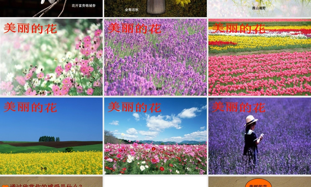 人教版六年级小学美术课件-《寻找美的踪迹》课件03.ppt