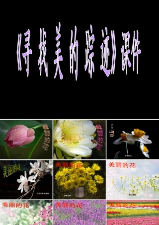 人教版六年级小学美术课件-《寻找美的踪迹》课件03.ppt