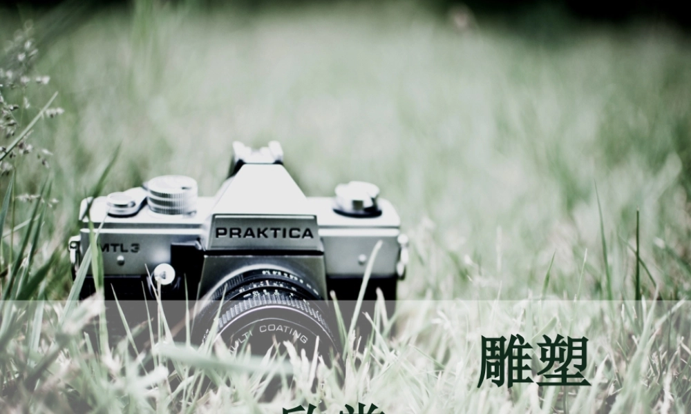 人教版六年级小学美术课件-雕塑欣赏.ppt