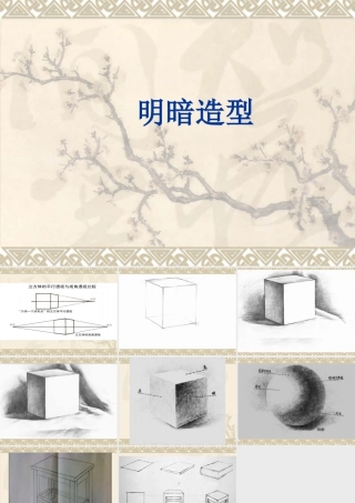 人教版六年级小学美术课件-明暗造型.ppt