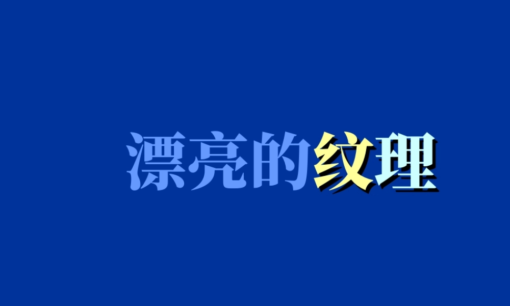 人教版六年级小学美术课件-漂亮的纹理.ppt