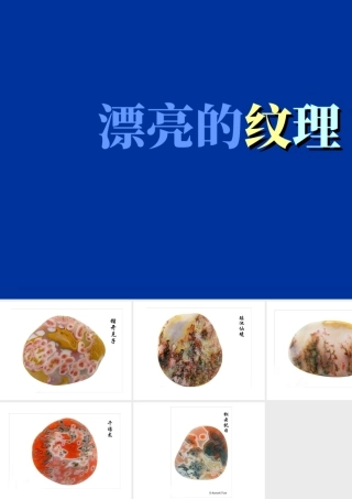 人教版六年级小学美术课件-漂亮的纹理.ppt