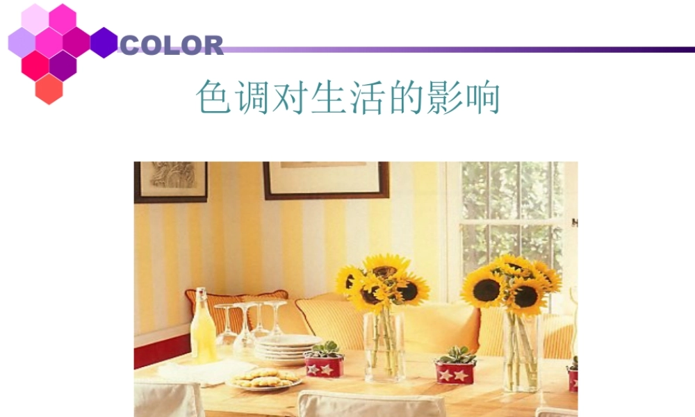 人教版六年级小学美术课件-色调对生活的影响.ppt