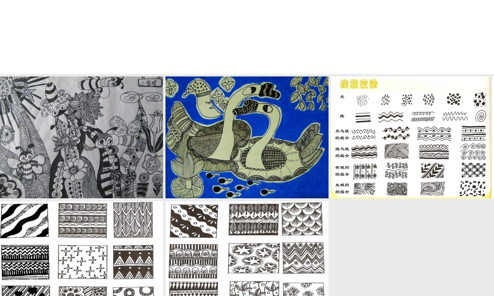 人教版六年级小学美术课件-线的练习.ppt