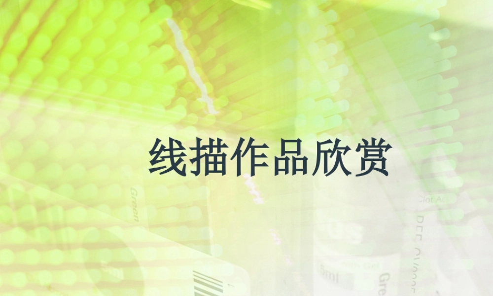 人教版六年级小学美术课件-线描作品欣赏.ppt