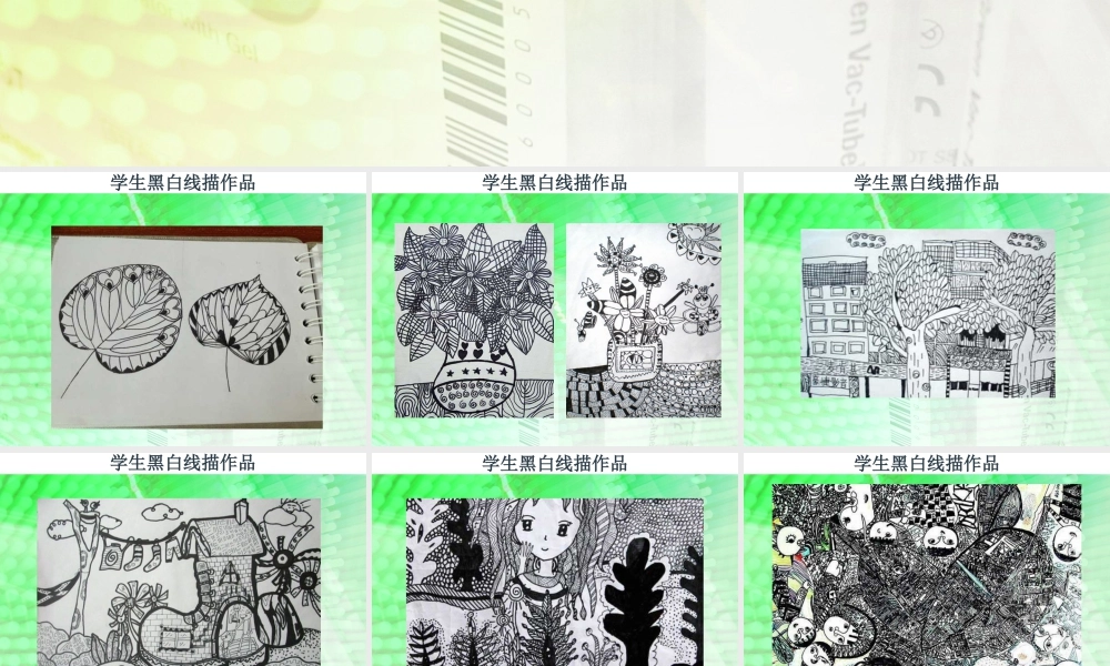 人教版六年级小学美术课件-线描作品欣赏.ppt