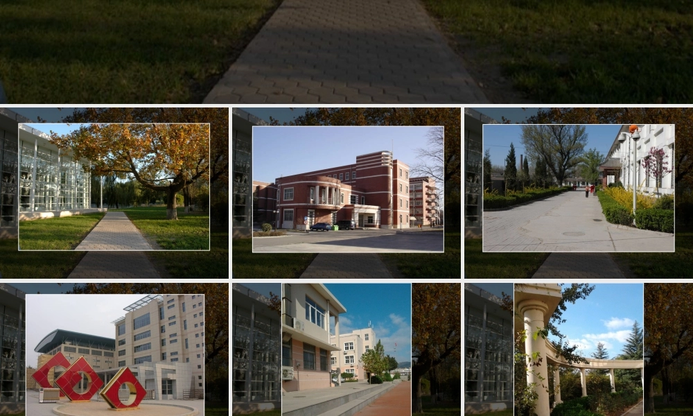 人教版六年级小学美术课件-校园一景.ppt