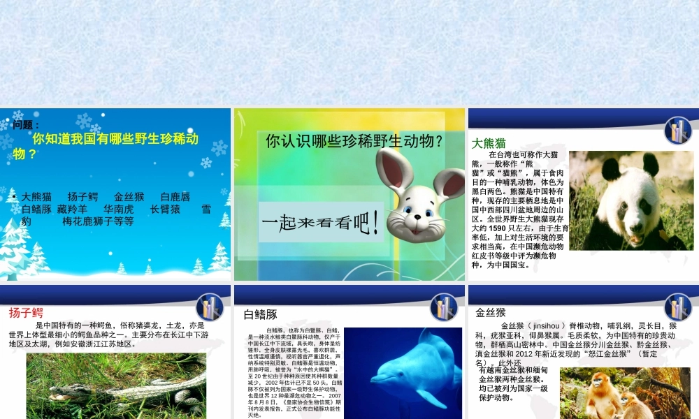 人教版三年级小学美术课件-《保护珍稀野生动物》课件.ppt