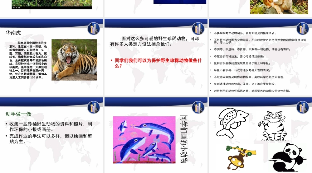人教版三年级小学美术课件-《保护珍稀野生动物》课件.ppt