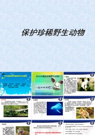 人教版三年级小学美术课件-《保护珍稀野生动物》课件.ppt