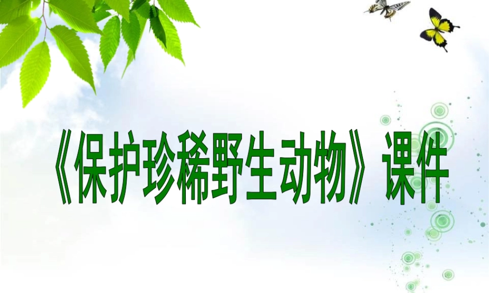 人教版三年级小学美术课件-《保护珍稀野生动物》课件2.ppt